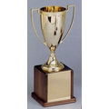 Champion Series 7" Trophy Cup